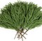 12 Pcs 18 Inch Real Touch Norfolk Pine Branches (Green) 4"D x 13"W x 0.75"H